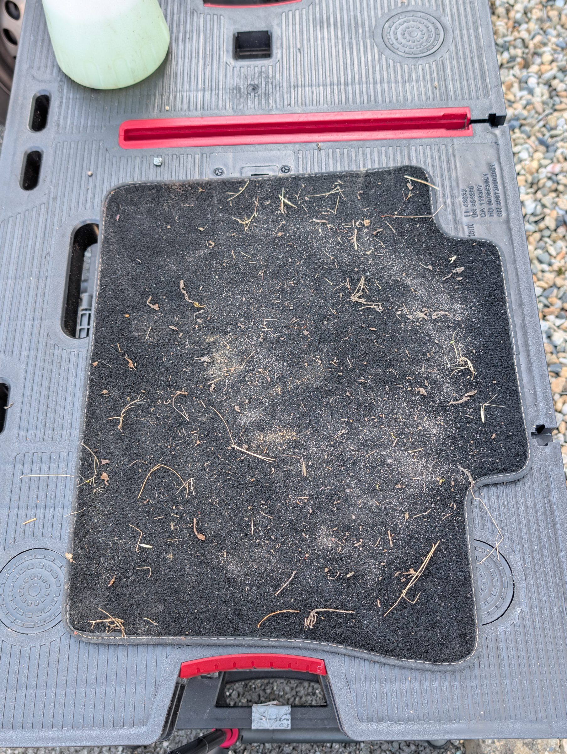 Avant - Nettoyage tapis de sol
