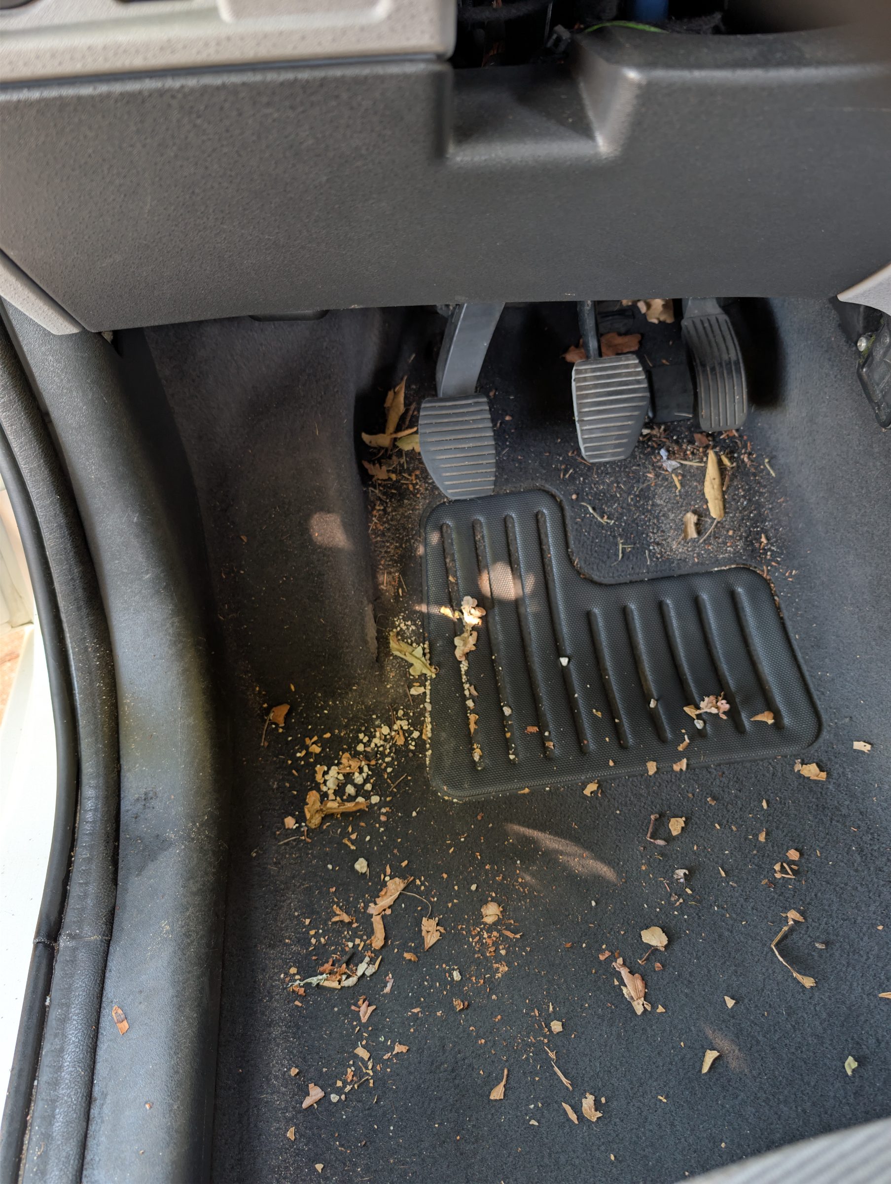 Avant - Nettoyage intérieur Citroën Ce
